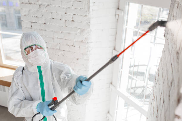 Best Mold Documentation for Insurance Claims  in Mckees Rocks, PA